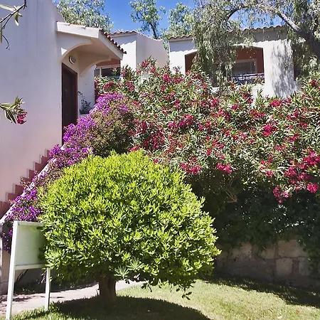 Fergus Club Europa 4* باغيرا